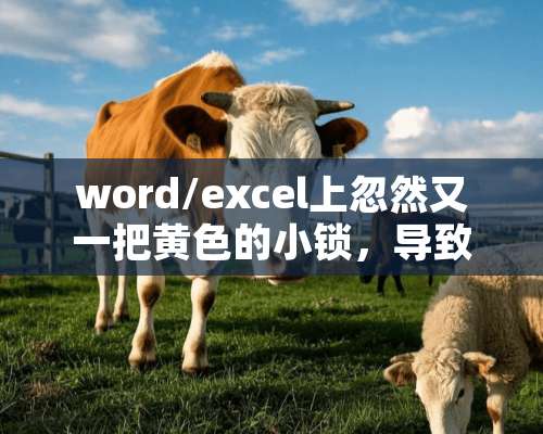 word/excel上忽然又一把**的小锁，导致打不开文件？