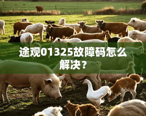 途观01325故障码怎么解决？