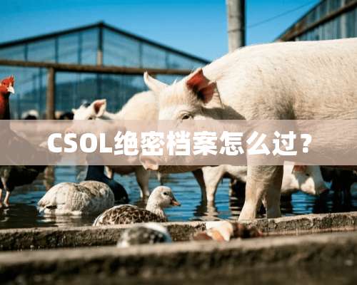 CSOL绝密档案怎么过？