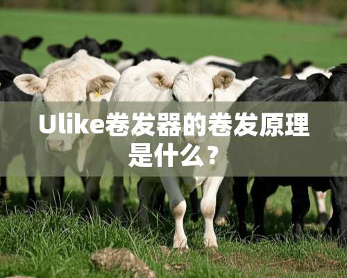 Ulike卷发器的卷发原理是什么？