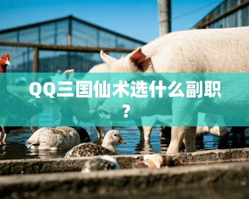 QQ三国仙术选什么副职？