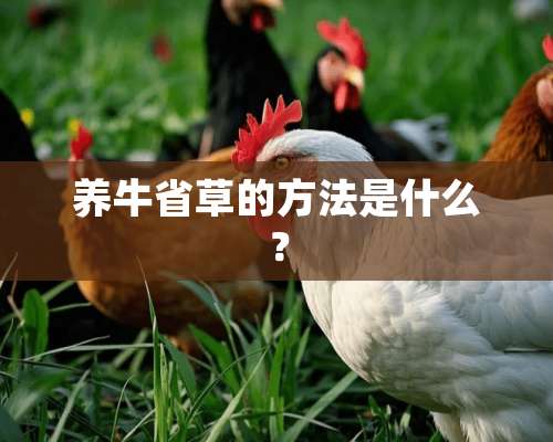 养牛省草的方法是什么？