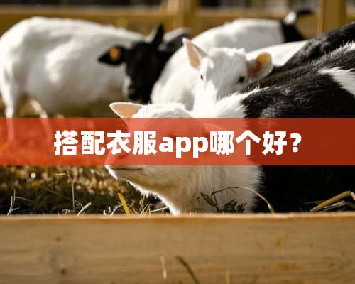 搭配衣服app哪个好？