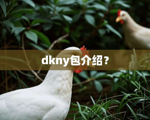 dkny包介绍？