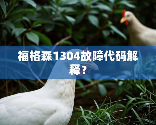 福格森1304故障代码解释？