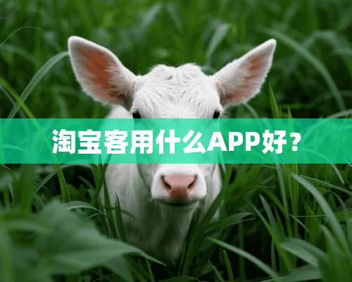 淘宝客用什么APP好？