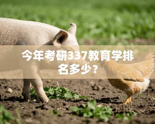 今年考研337教育学排名多少？