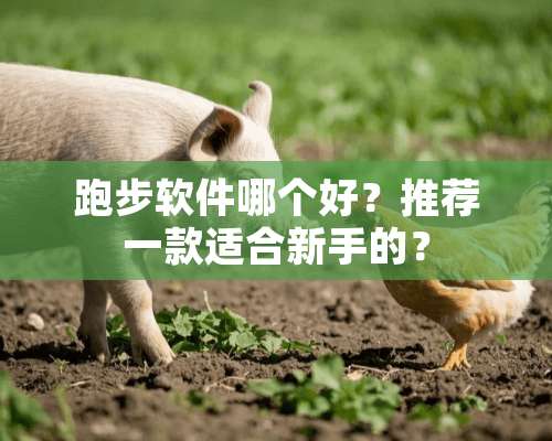 跑步软件哪个好？推荐一款适合新手的？