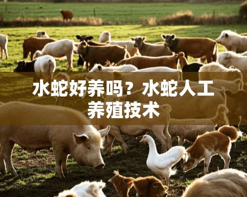 水蛇好养吗？水蛇人工养殖技术