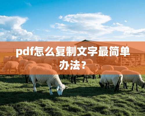 pdf怎么复制文字最简单办法？